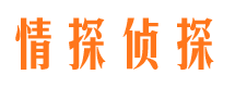 裕安市侦探调查公司